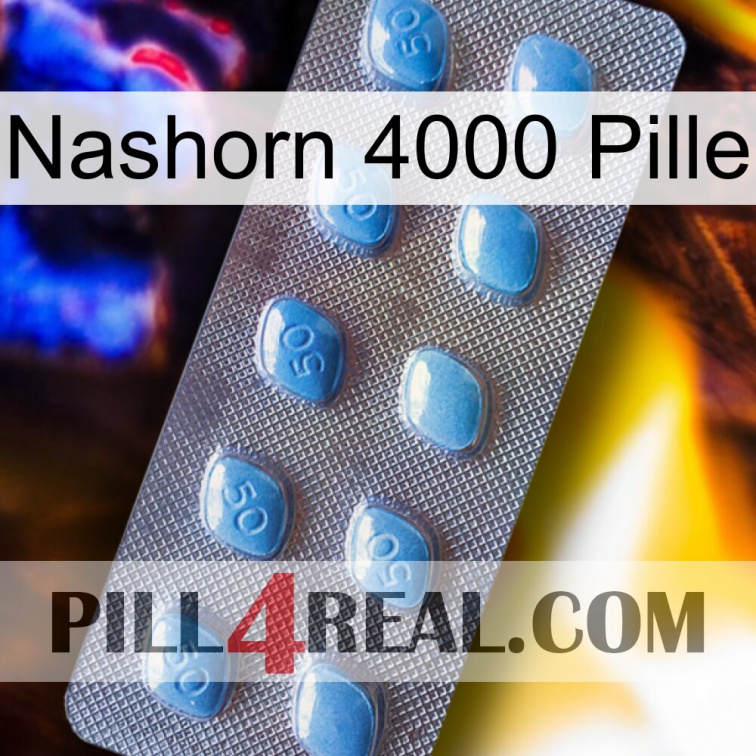 Rhino 4000 Pill viagra3